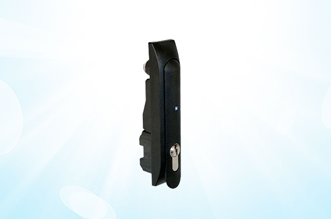 picture of HWg-SH1: H3-EM Electronic Locking Swinghandle